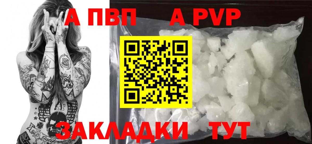 A PVP СК КРИС Балашов