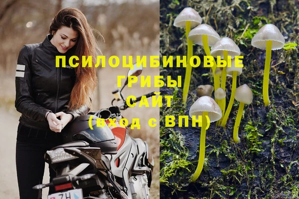 spice Лихославль