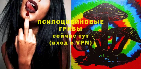 spice Лихославль