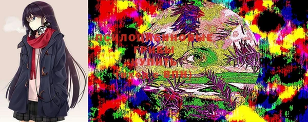 меф Мегион
