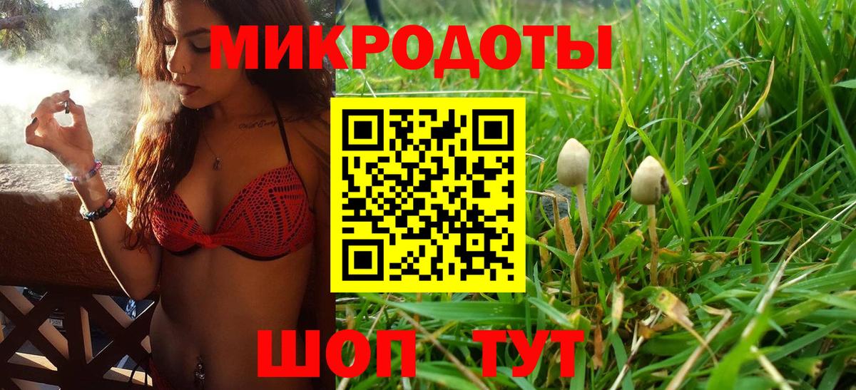 Галлюциногенные грибы мицелий Балашов