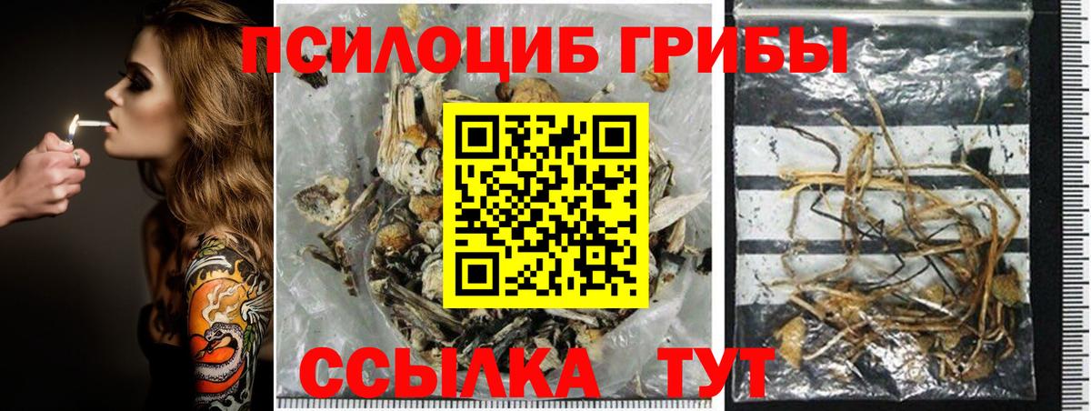 Балашов  Псилоцибиновые грибы прущие грибы  Вход с VPN  Галлюциногенные грибы Cubensis 